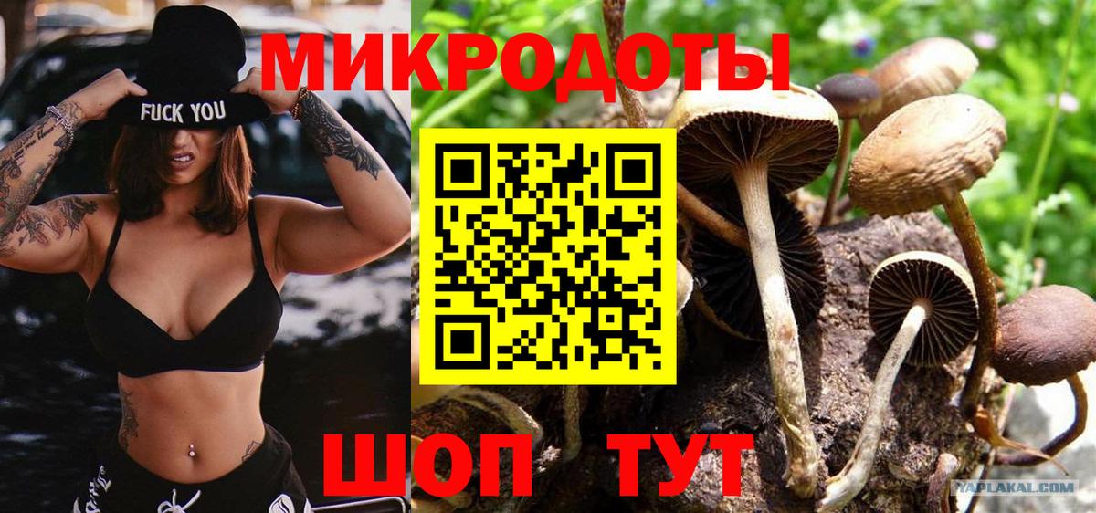 Псилоцибиновые грибы прущие грибы  Галлюциногенные грибы Psilocybine cubensis  Вход с VPN  Кореновск 